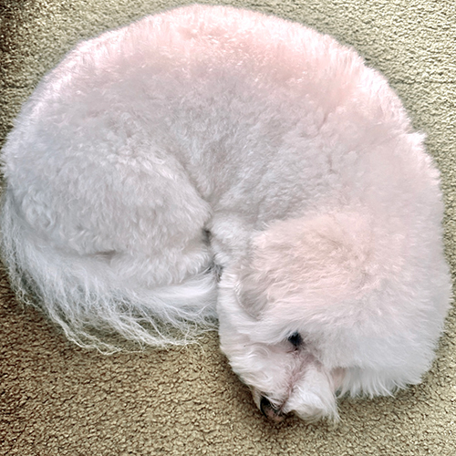 2610_03.jpg